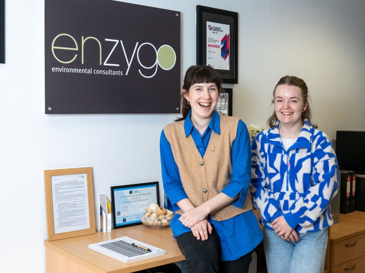 Enzygo Enzygo