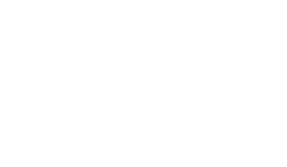 Trek Bikes 